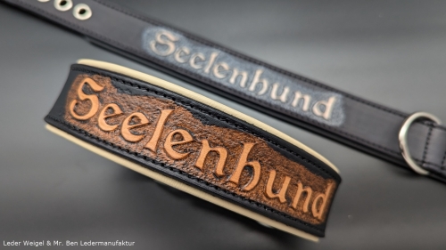 Hundehalsband mit Wunschaufschrift + Polsterung