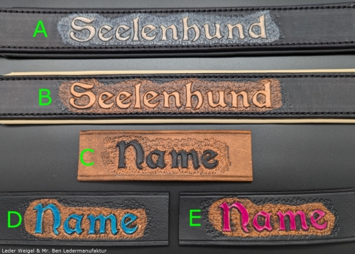 Hundehalsband mit Wunschaufschrift + Polsterung