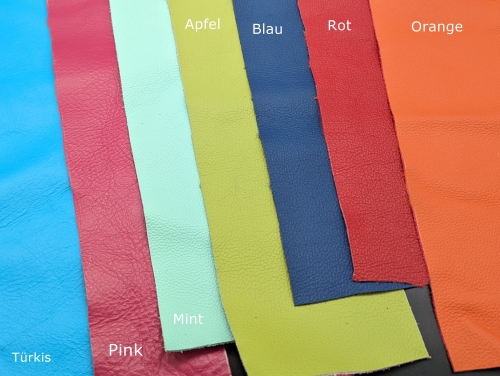 Hundehalsband mit Wunschaufschrift + Polsterung