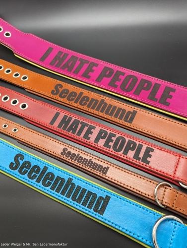 Hundehalsband aus Leder - Statement