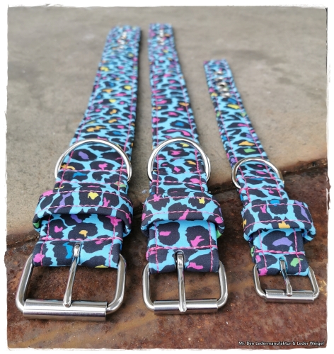 Hundehalsband aus Softshell - Crazy Leo