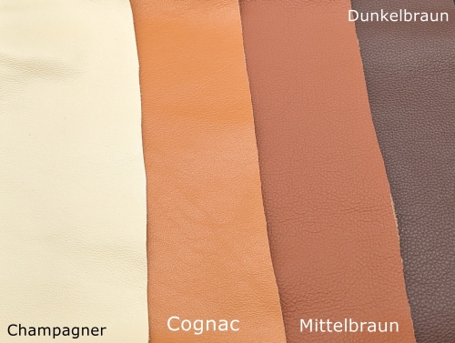 Hundehalsband - Wildsau + Wunschaufschrift