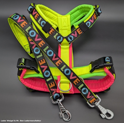 SofortKauf - Hundegeschirr S101 --> Softshell --> Größe M + 2 Meter Leine
