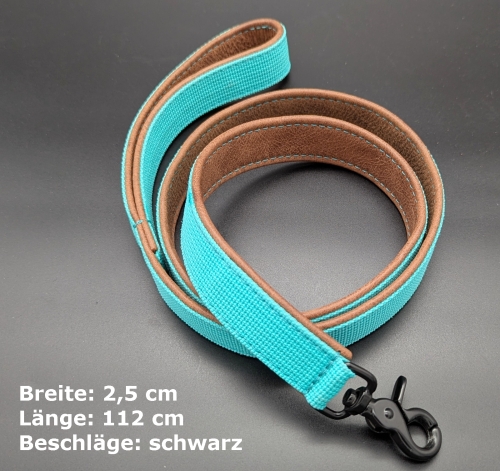 Flohmarkt97 --> Hundeleine Gurtband + Leder