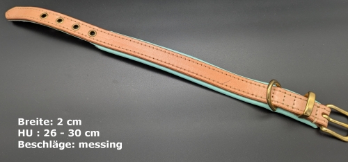 Flohmarkt102 --> Hundehalsband Leder