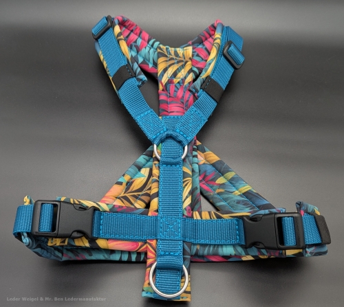 Hundegeschirr Softshell - Version 9 - Weihnachtsaktion