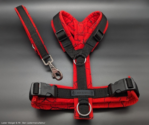 Hundegeschirr Softshell - Version 13 - Weihnachtsaktion