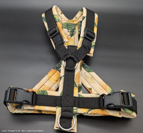 Hundegeschirr Softshell - Version 16 - Weihnachtsaktion