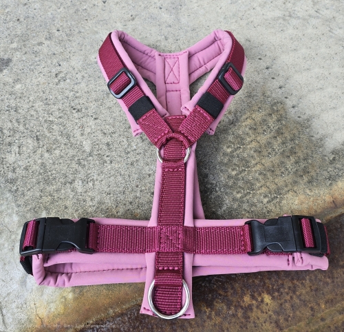 SofortKauf - Hundegeschirr S154 --> Softshell --> Größe M