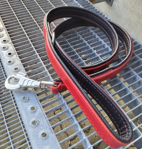 SofortKauf - Kurzleine Leine1 --> Leder