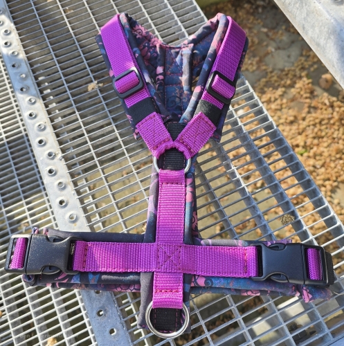 SofortKauf - Hundegeschirr S159 --> Softshell --> Größe M