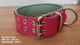 Flohmarkt36 --> Halsband Leder