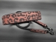 Set 69 --> Hundehalsband Leder + Leine --> Breite 4 cm ---> geeignet für Halsumfang von 53 cm bis 61 cm