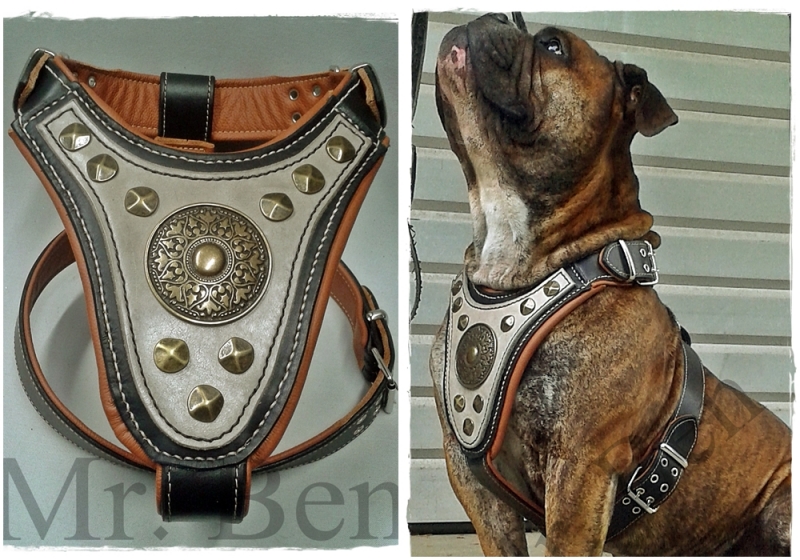 leather dog harness - gladiator