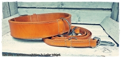 Robustes Hundehalsband ( Zweilagig)