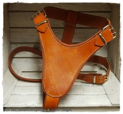 Hundegeschirr aus Leder