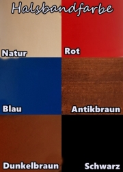 Hundehalsband - Modell Odin (Name frei wählbar)