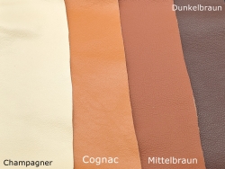 Hundehalsband mit Wunschaufschrift + Polsterung