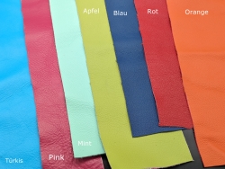 Hundehalsband mit Wunschaufschrift + Polsterung