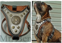 leather dog harness - gladiator