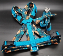 Hundegeschirr Softshell - Pusteblume