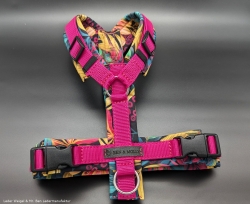 Hundegeschirr Softshell - Karibik