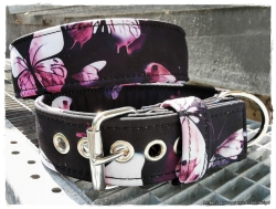 Hundehalsband aus Softshell - Schmetterling