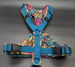 SofortKauf - Hundegeschirr S106 --> Softshell --> Größe M