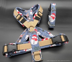 SofortKauf - Hundegeschirr S116 --> Softshell --> Größe M + Klickhalsband