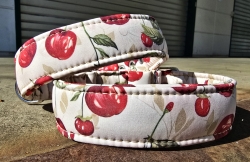 HB 1623 --> Halsumfang von 37 cm bis 46 cm --> Breite 4 cm ---> Softshell