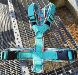 SofortKauf - Hundegeschirr S156 --> Softshell --> Größe M