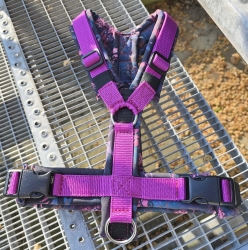 SofortKauf - Hundegeschirr S159 --> Softshell --> Größe M