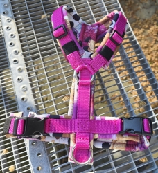 SofortKauf - Hundegeschirr S160 --> Softshell --> Größe S