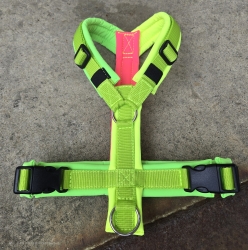 SofortKauf - Hundegeschirr S168 --> Softshell --> Größe M